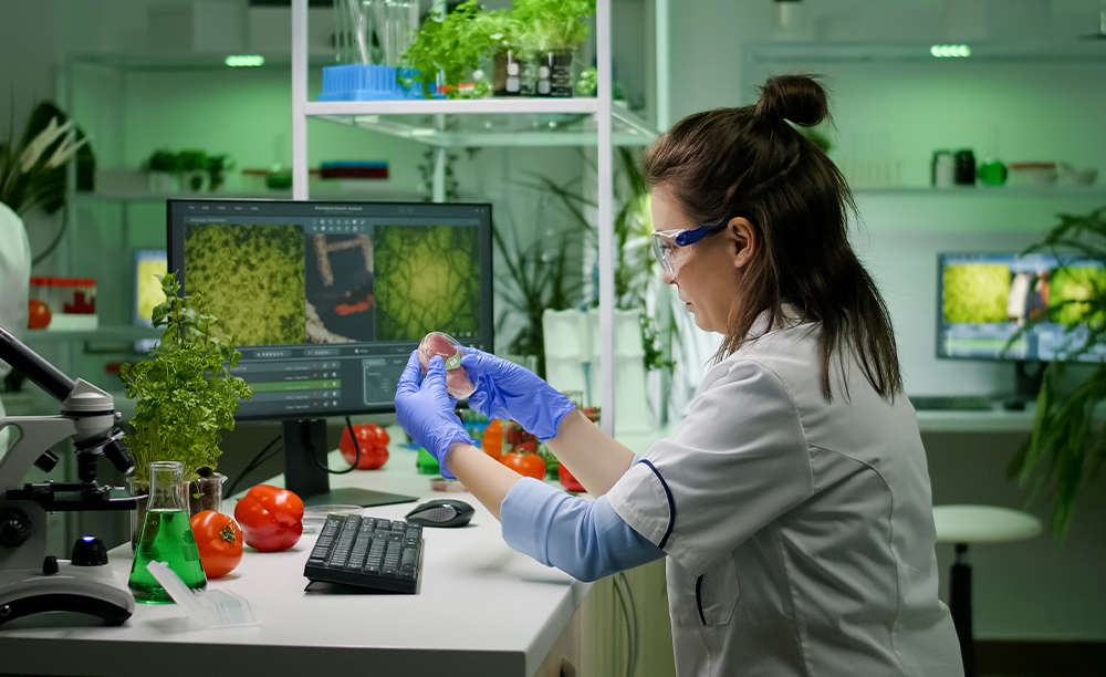 La IA en el proceso de la gestión de calidad en inocuidad alimentaria.