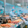 Sistema HACCP en planta de alimentos mostrando análisis de riesgos y puntos críticos de control para prevenir problemas de inocuidad alimentaria.